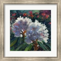 Rhododendron Portrait I Fine Art Print