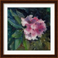 Rhododendron Portrait II Fine Art Print