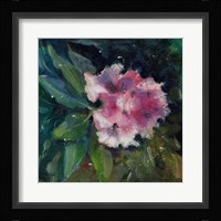 Rhododendron Portrait II Fine Art Print