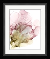 Flowering Pink II Framed Print