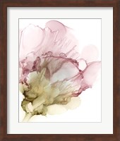 Flowering Pink II Fine Art Print