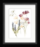 Lobelia Garden I Framed Print