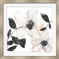 Black & Blush Anemone I Fine Art Print