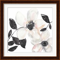 Black & Blush Anemone I Fine Art Print