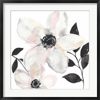 Black & Blush Anemone II Fine Art Print