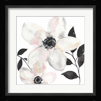 Black & Blush Anemone II Framed Print