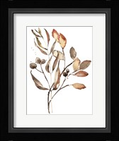 Autumn's Bundle I Framed Print