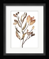 Autumn's Bundle II Framed Print