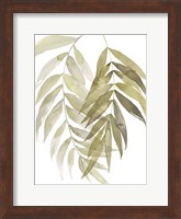 Palm Embrace I Fine Art Print