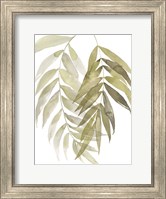 Palm Embrace I Fine Art Print