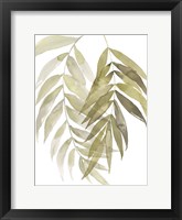 Palm Embrace I Framed Print