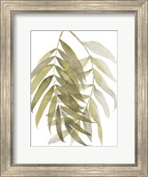 Palm Embrace II Fine Art Print