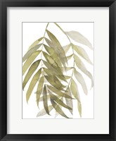 Palm Embrace II Framed Print