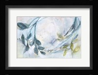 Branches & Shadows I Framed Print