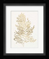 Gilded Algae IV Framed Print