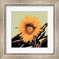 Pop Art Sunflower II Fine Art Print