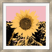 Pop Art Sunflower III Fine Art Print