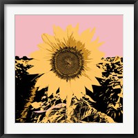 Pop Art Sunflower III Fine Art Print