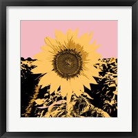 Pop Art Sunflower III Framed Print
