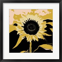 Pop Art Sunflower IV Framed Print