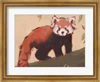 Red Panda I Fine Art Print
