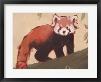 Red Panda I Fine Art Print