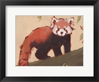 Red Panda I Fine Art Print