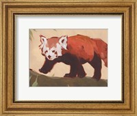 Red Panda II Fine Art Print