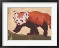 Red Panda II Fine Art Print