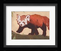 Red Panda II Framed Print