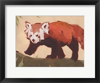 Red Panda II Framed Print