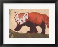 Red Panda II Fine Art Print