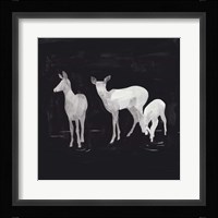 Sophisticated Whitetail II Framed Print