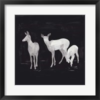 Sophisticated Whitetail II Framed Print