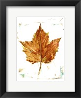 Autumn Leaf Study I Fine Art Print