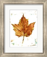 Autumn Leaf Study I Fine Art Print