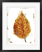 Autumn Leaf Study III Fine Art Print