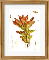 Autumn Leaf Study IV Fine Art Print