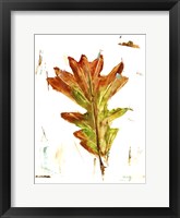 Autumn Leaf Study IV Framed Print