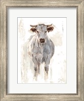 Sunlit Cows I Fine Art Print