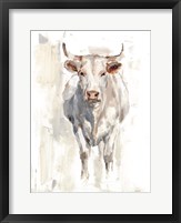 Sunlit Cows II Fine Art Print