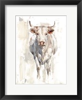 Sunlit Cows II Framed Print