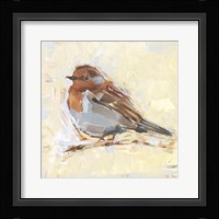 Bird Variety I Framed Print