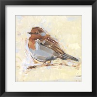 Bird Variety I Framed Print