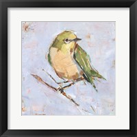 Bird Variety II Framed Print