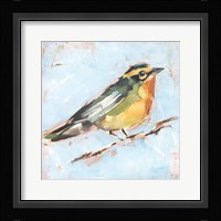Bird Variety IV Framed Print