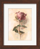 Painterly Rose Study I Fine Art Print