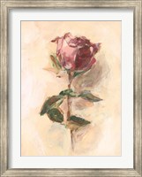 Painterly Rose Study I Fine Art Print