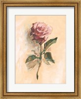 Painterly Rose Study II Fine Art Print