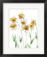 Amber Tulips I Framed Print